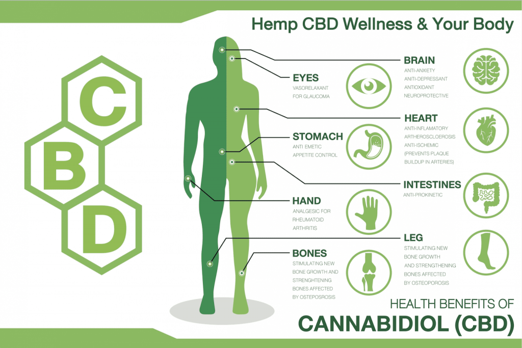 Benefits of CBD 1536x1024 1