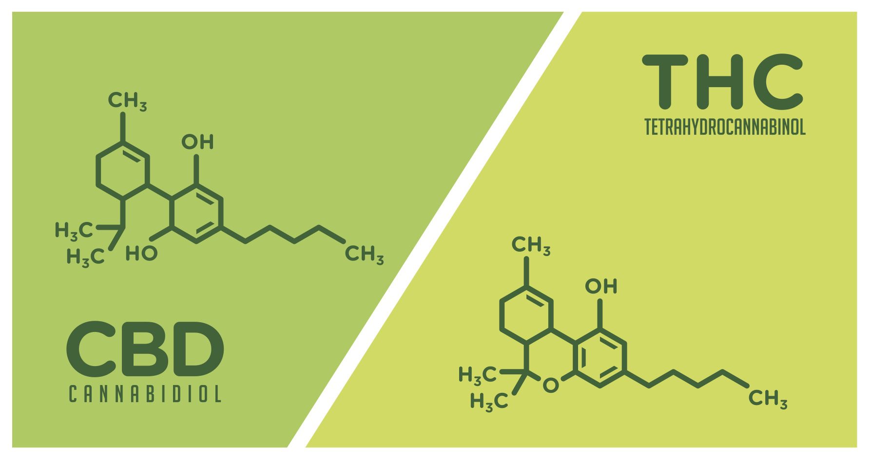 CBD vs THC - Molecules of each