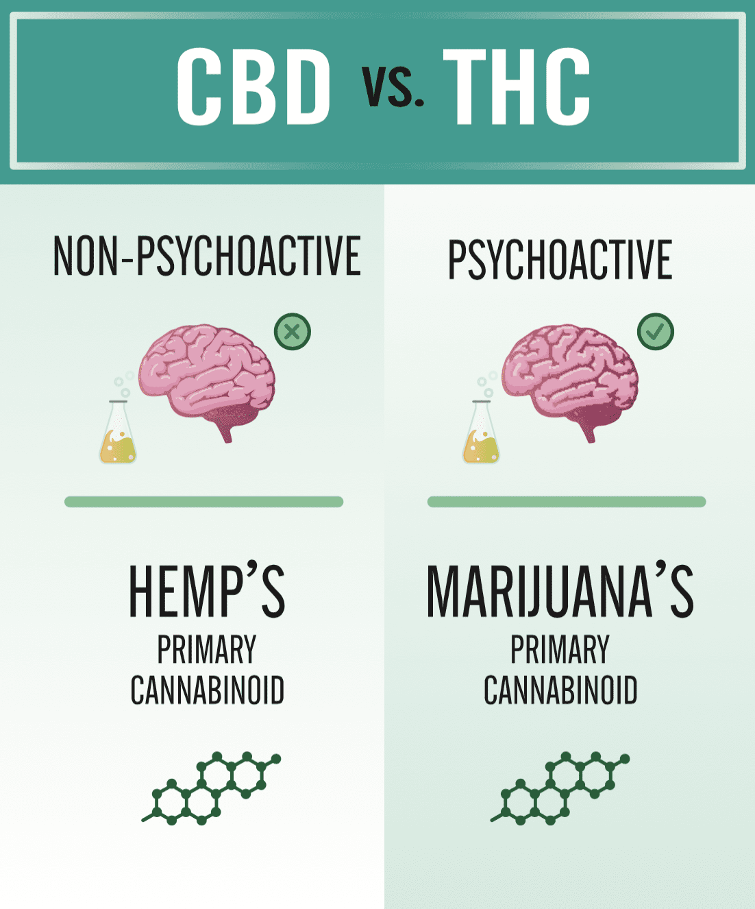 CBD vs. THC - CBD is THC's Designated Driver - Flavor Fix