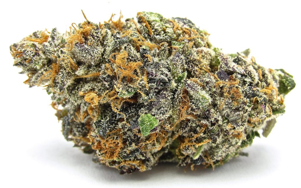 Mimosa Strain - Cannabis Review & Information - Flavor Fix