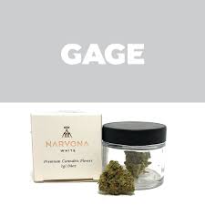 Gage Cannabis - Traverse City#1 Dispensary