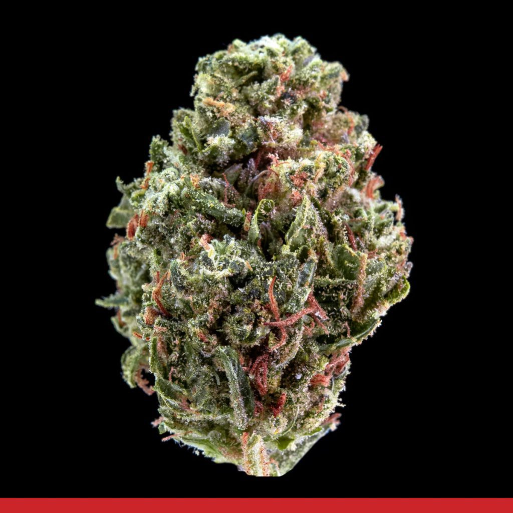 Kaya 9LB Hammer Strain