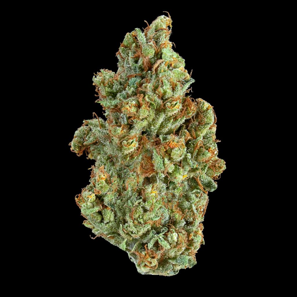 Kaya ACDC Strain