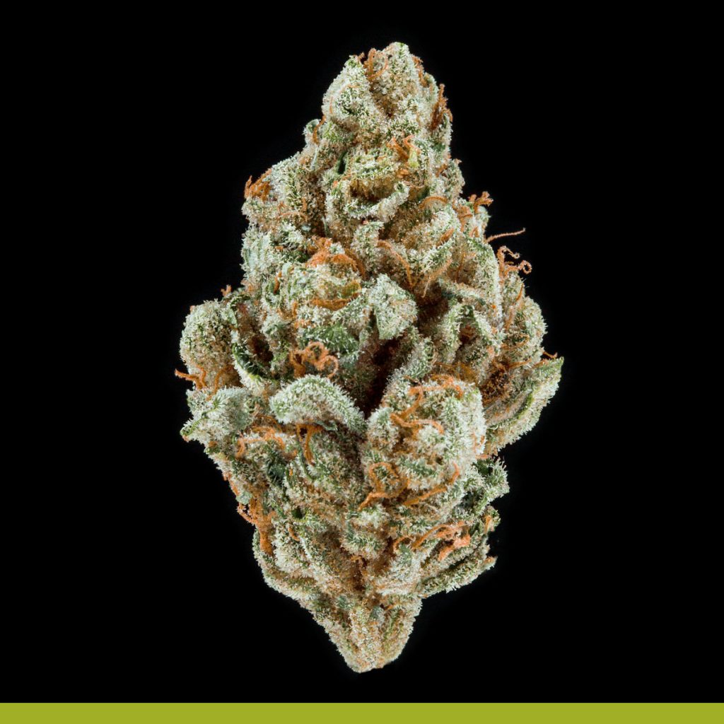 Kaya Flo Strain