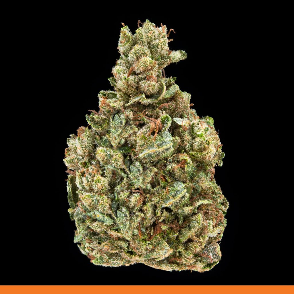 Kaya Gorilla Glue #4 Strain