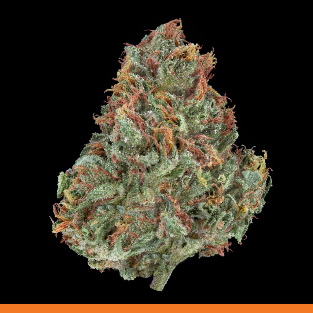 Kaya Grape Escape Strain