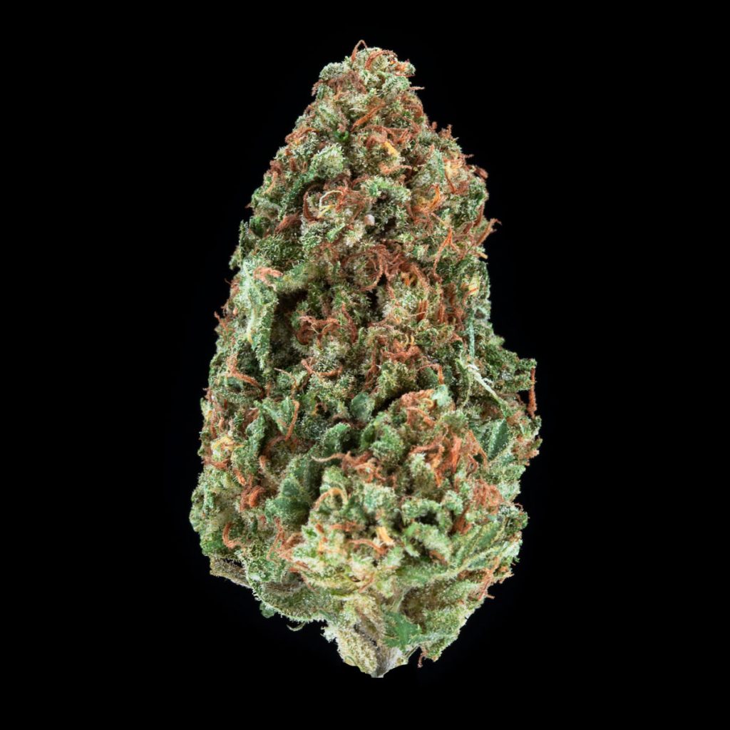 Kaya Jah Cures Strain