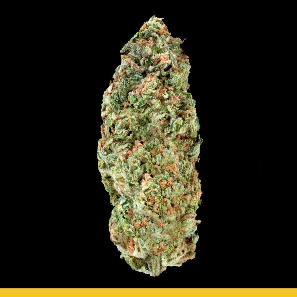 Kaya Jamaica Skunk Strain