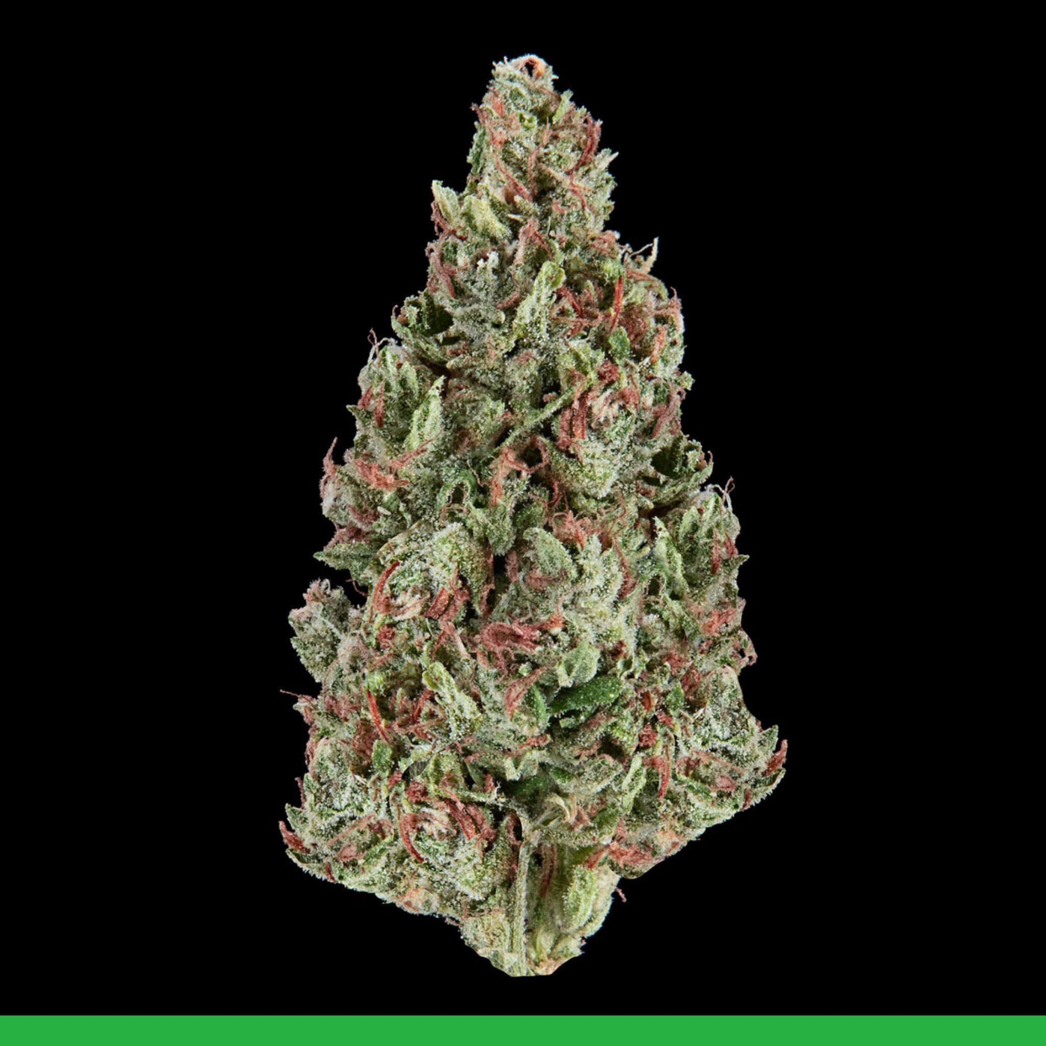 Kaya Kingston Lemon Skunk | Strain Information | Flavor Fix