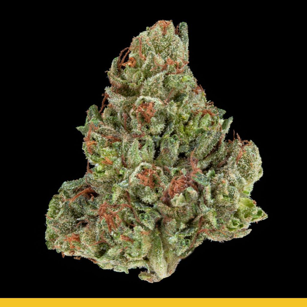 Kaya Kurple Strain