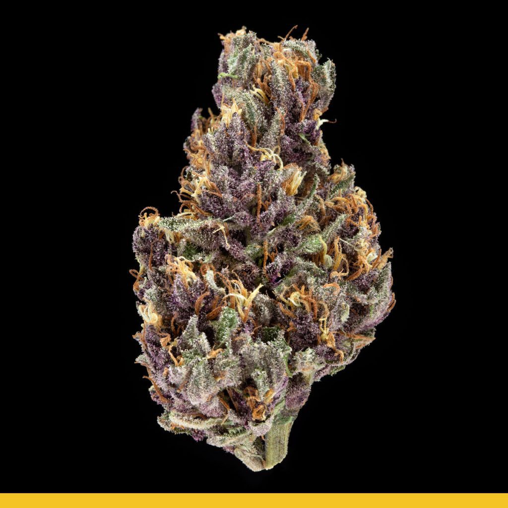 Kaya Purple Chem D.O.G. Strain