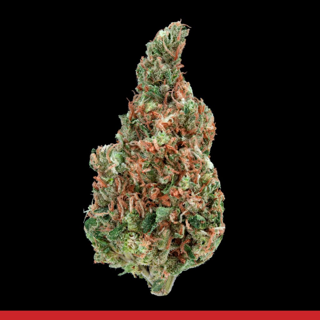 Kaya Romulan Strain