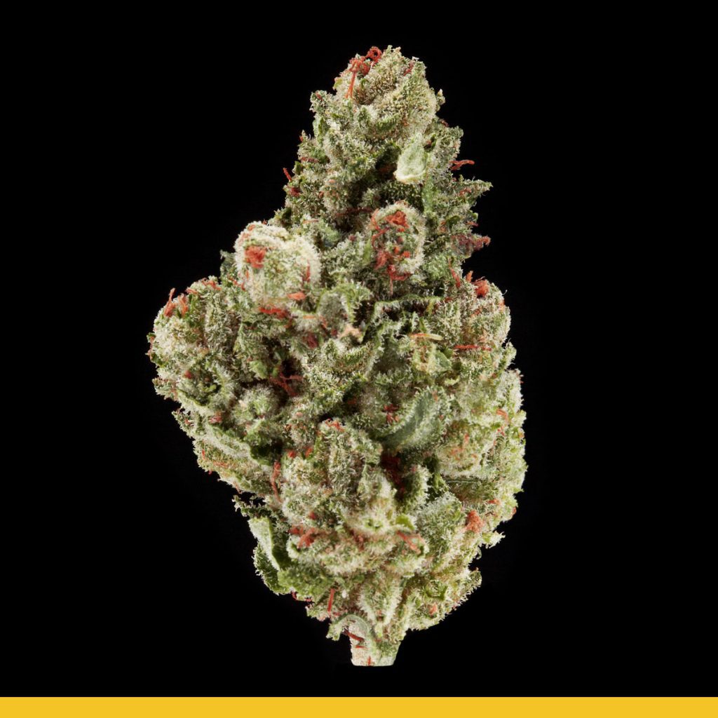 Kaya Tropical Frost Strain