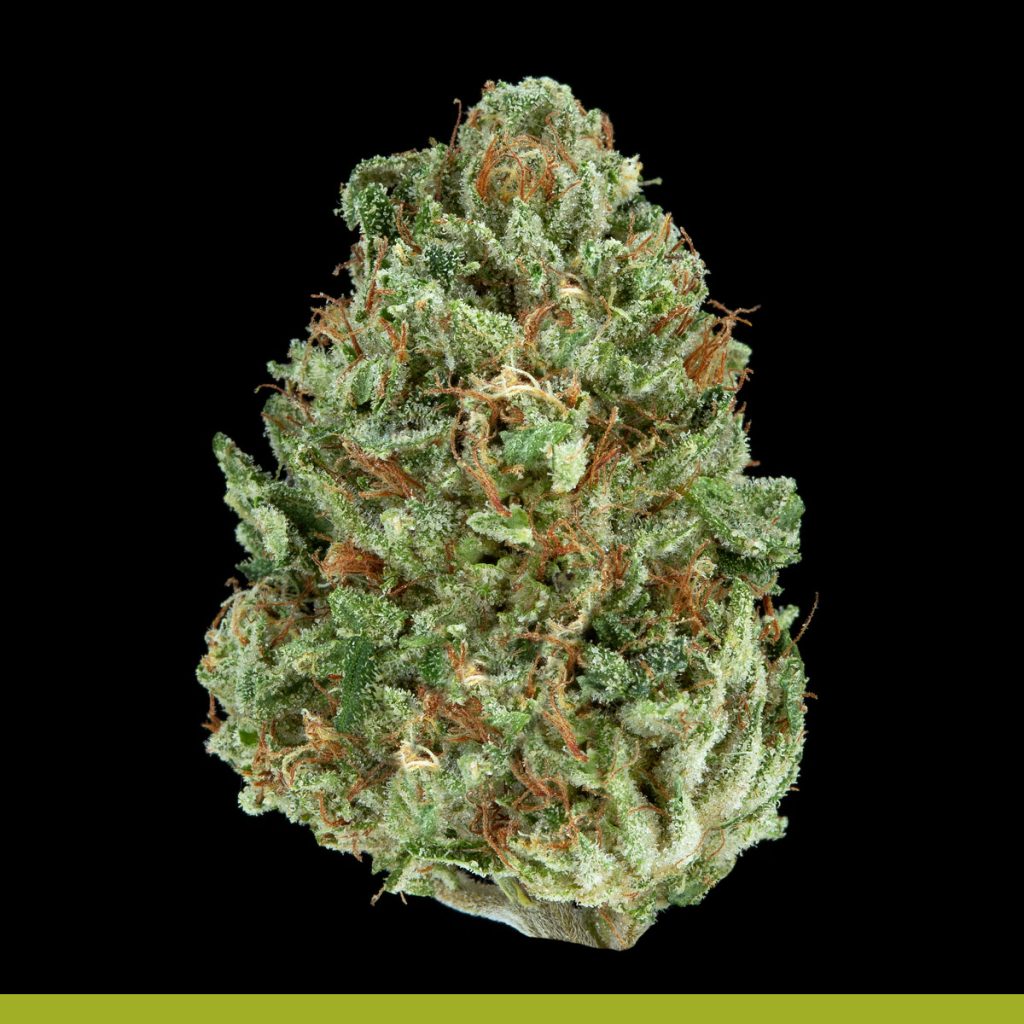 Kaya White Fyah OG