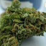 Likewise Cannabis Stillwater - Stillwater#1 Dispensary