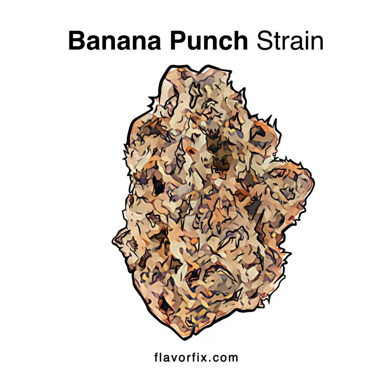 Banana Punch Strain