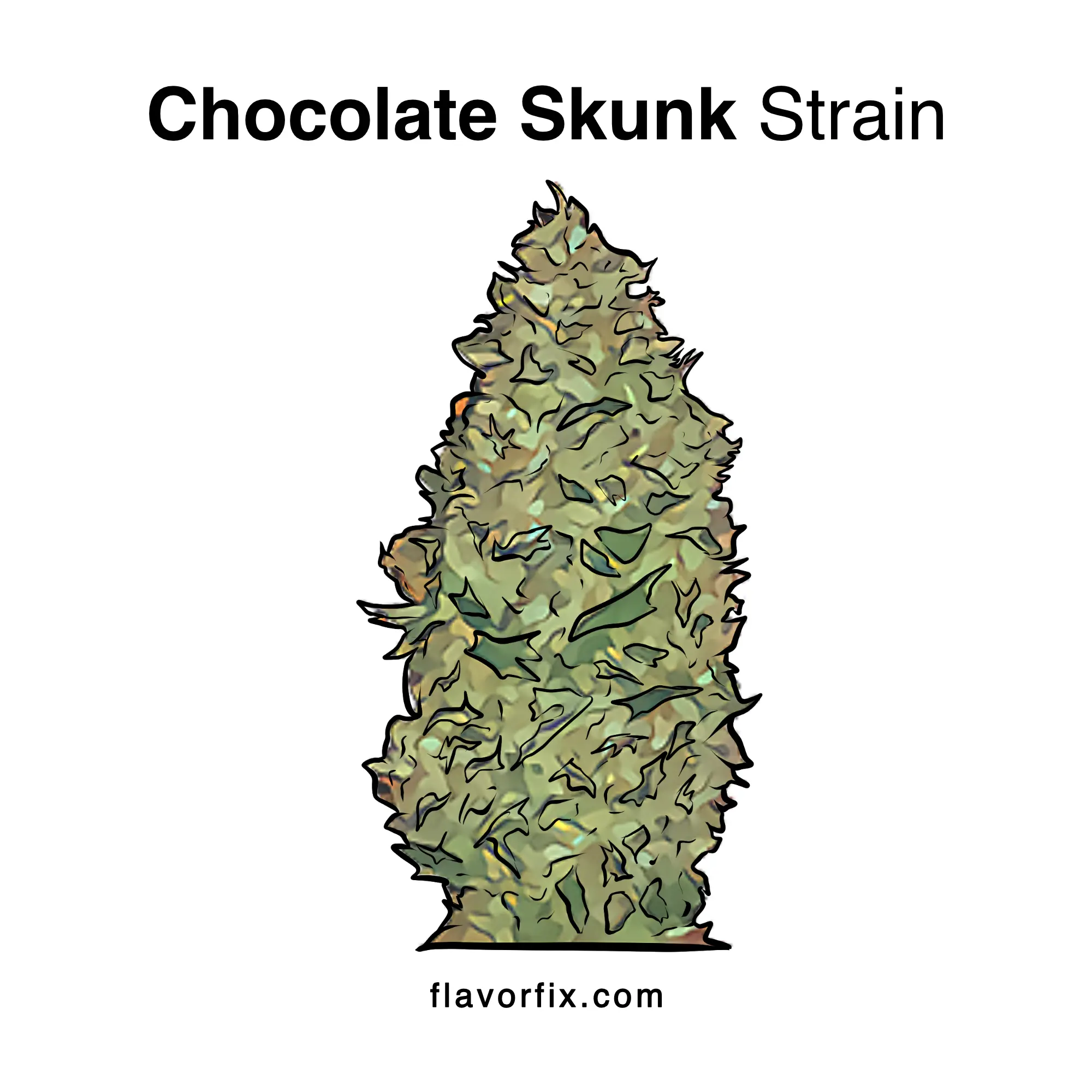 Chocolate Skunk Strain Cannabis Strain Info Flavor Fix