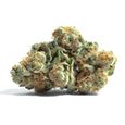 Custom Cannabis#3 Dispensary