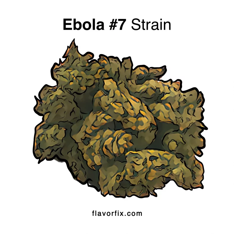 Ebola 7 Strain