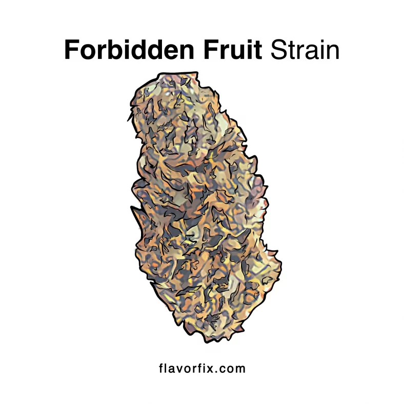 Forbidden Fruit Strain