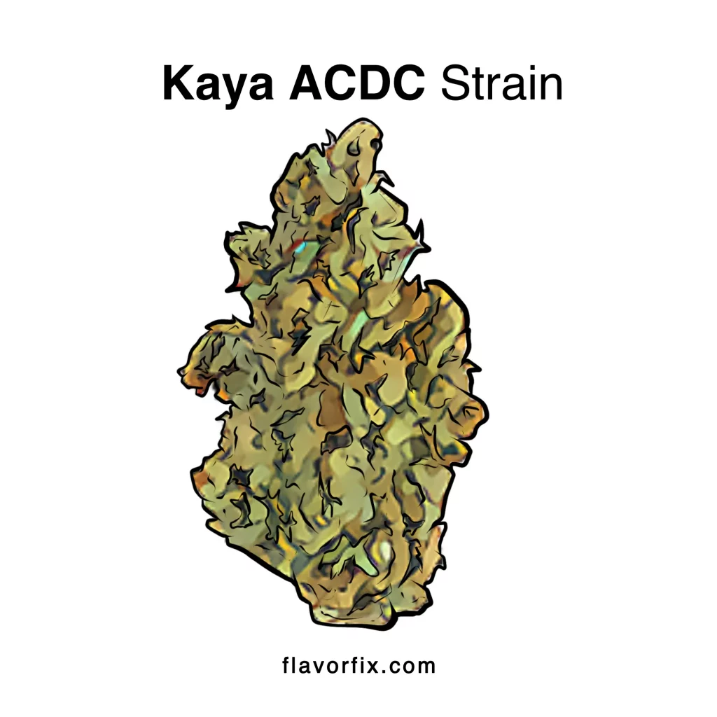Kaya ACDC Strain