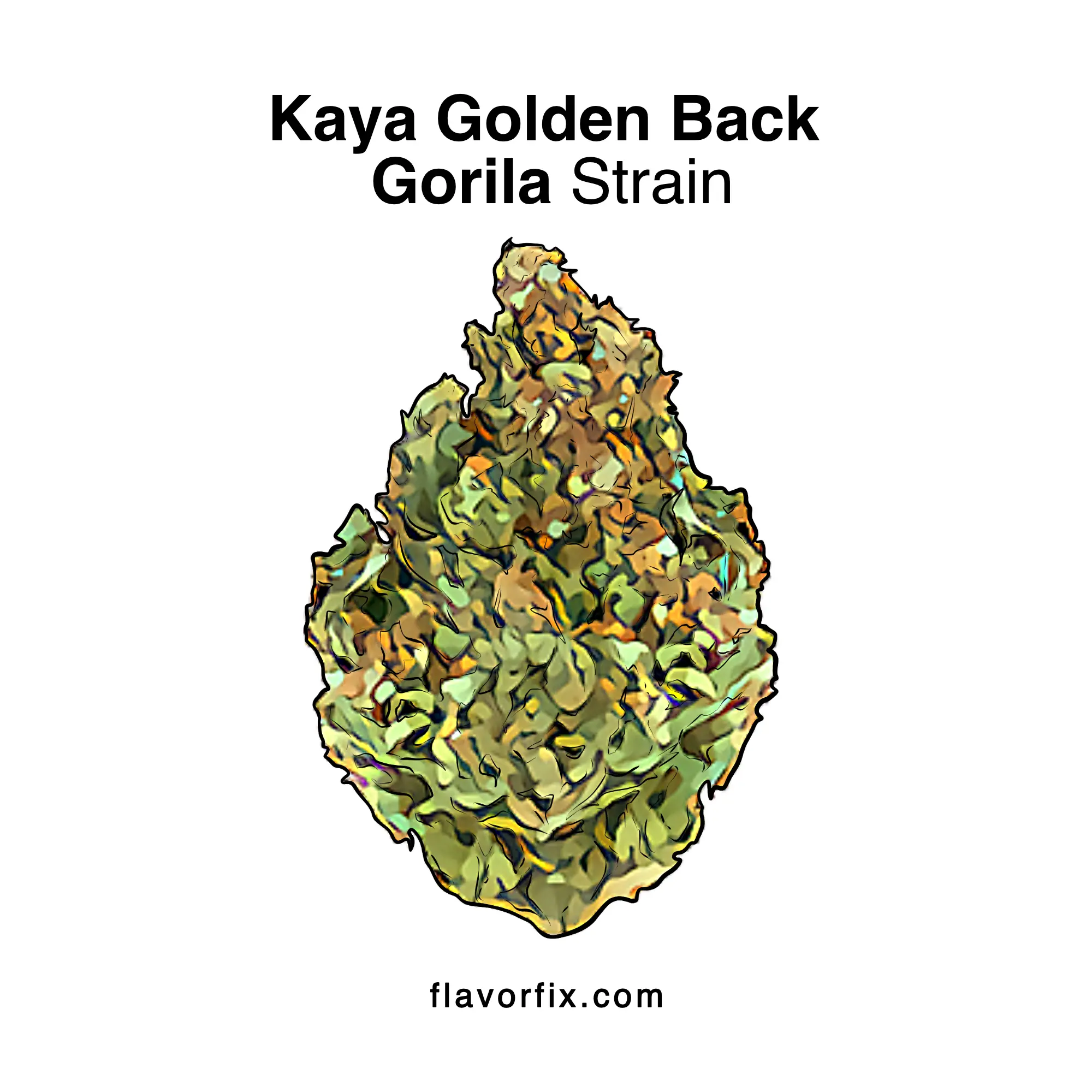 Kaya Golden Back Gorilla Strain