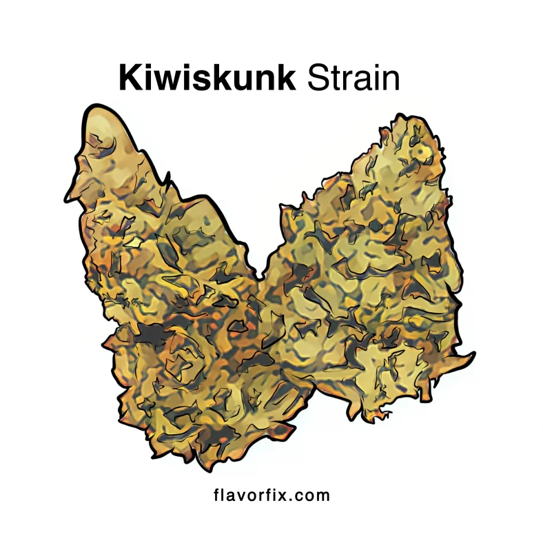 Kiwiskunk Strain