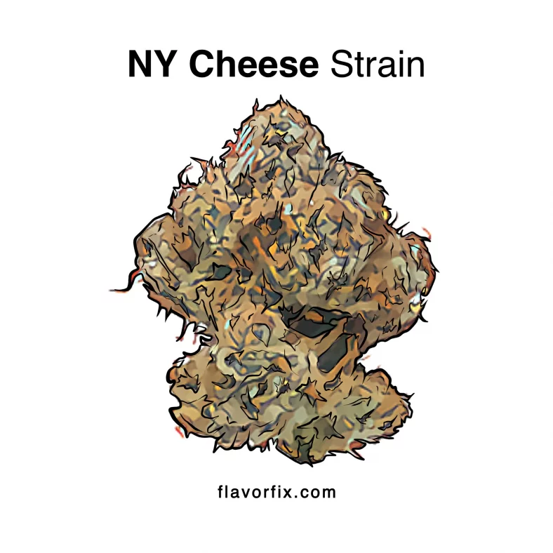 NY Cheese Strain
