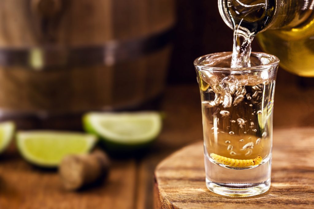 What is Mezcal