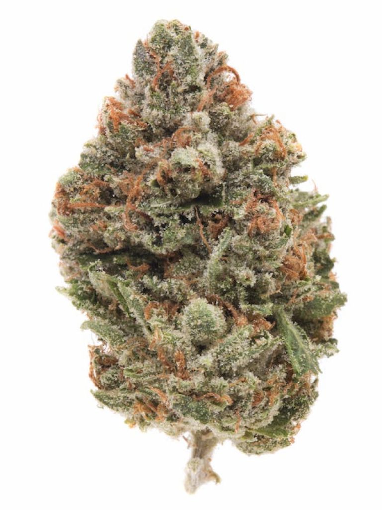 Chemdawg 91