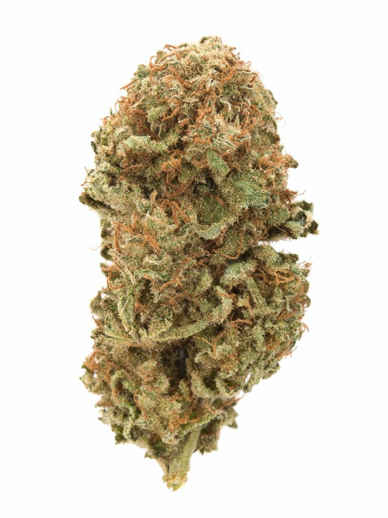 blueberry og strain