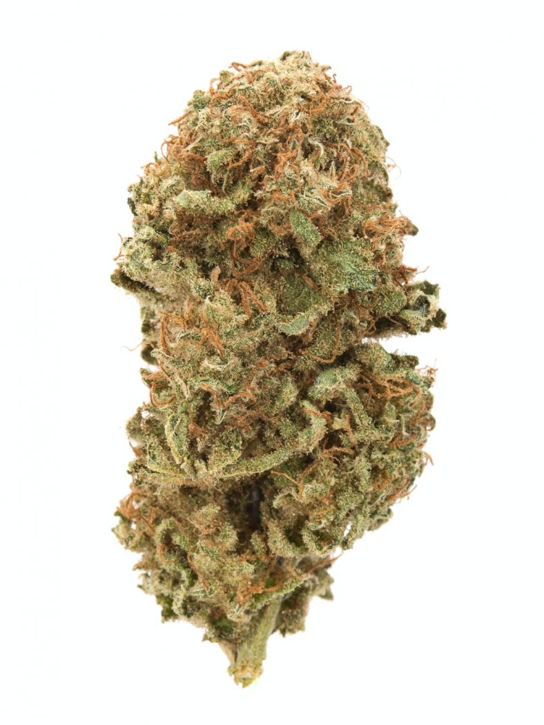 Blueberry OG Delight | Strain Information | Flavor Fix