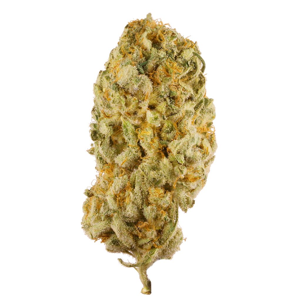 jack herer strain info