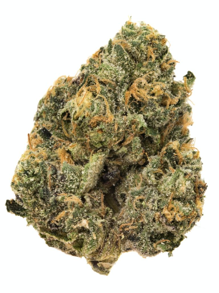 sherbet og strain