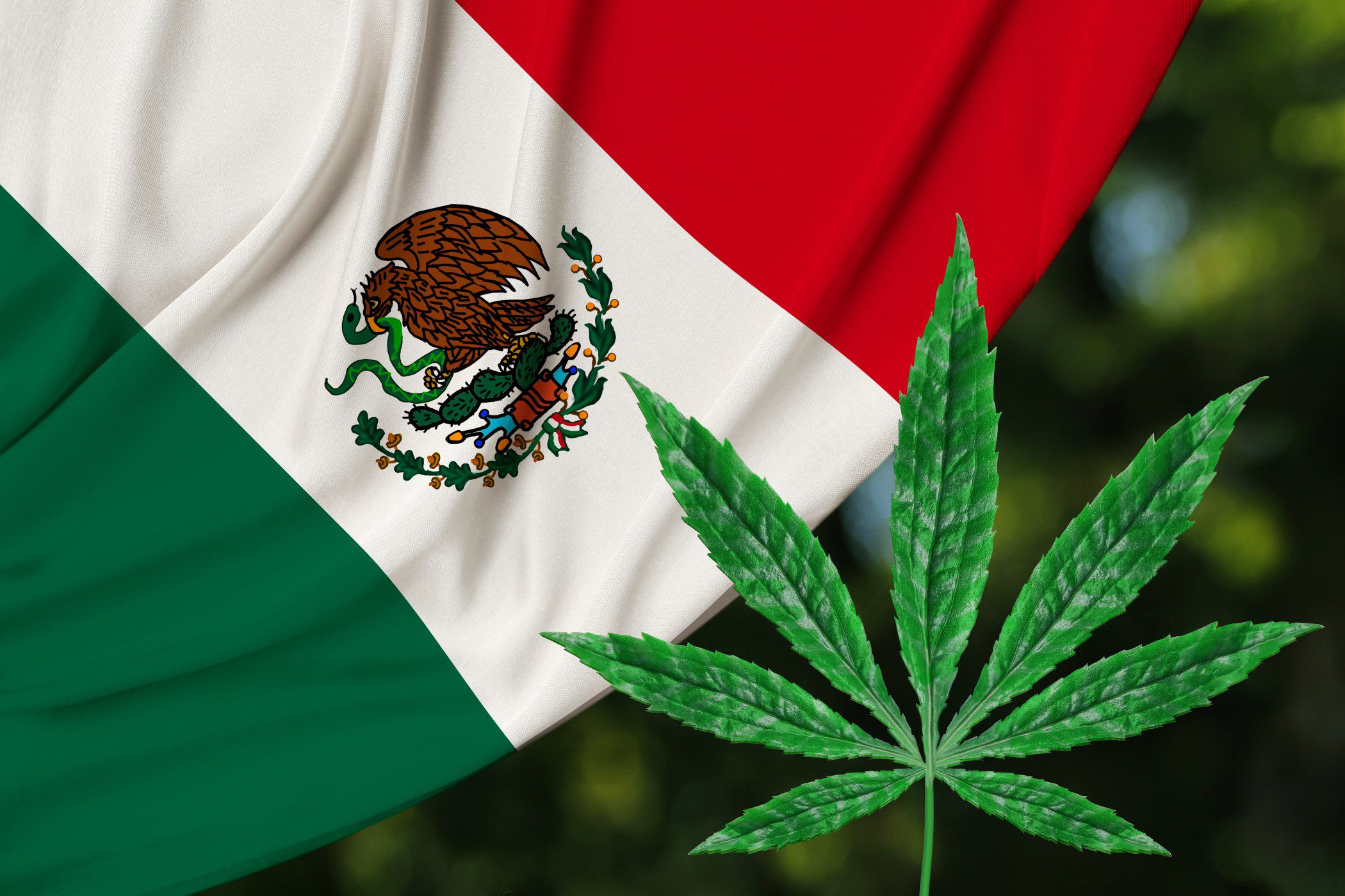 Mexico legal