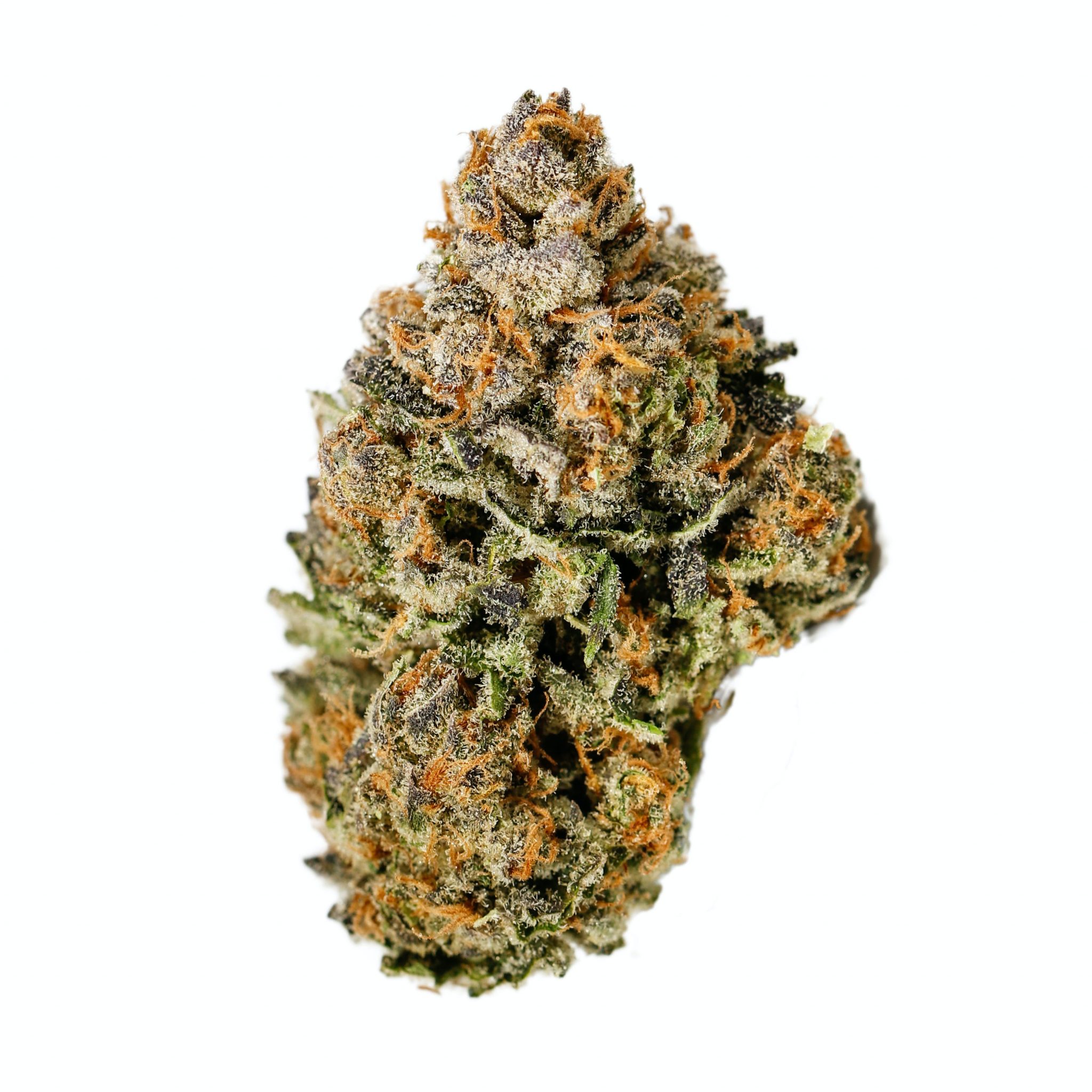 Birthday Cake Strain Celebrate More Often Flavor Fix   Birthday Cake Strain 2048x2048 