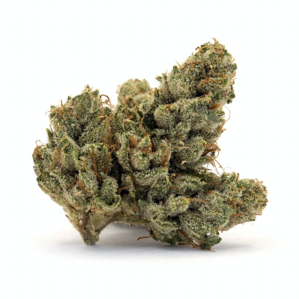 Jet Fuel Strain