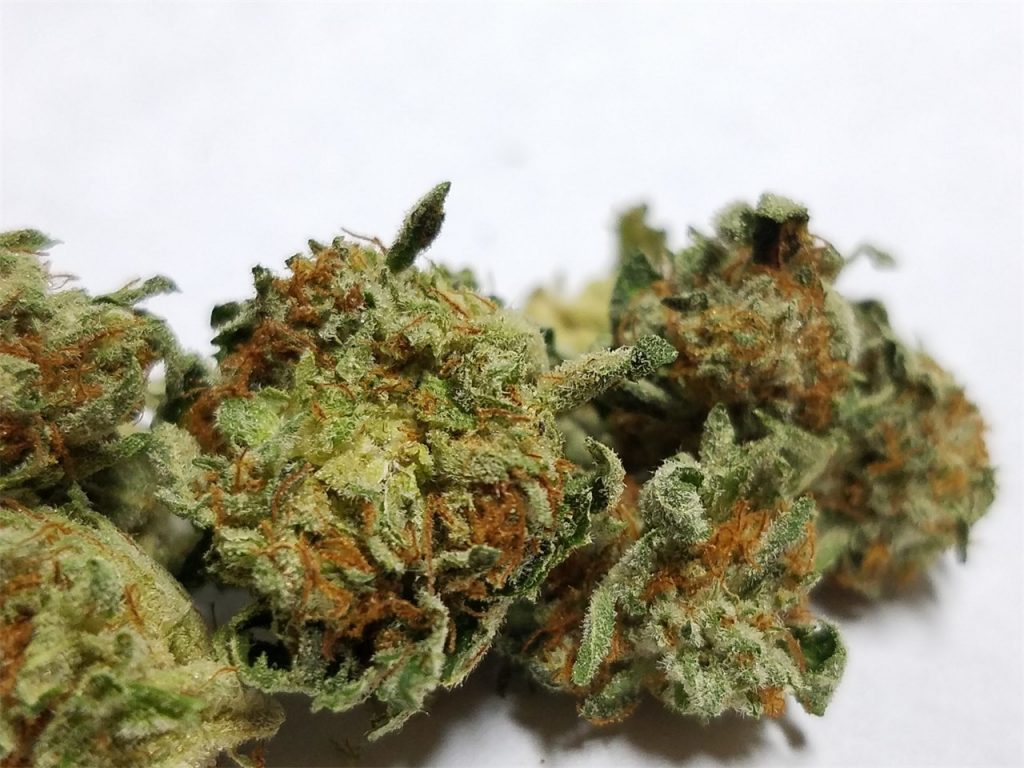 lemon og strain