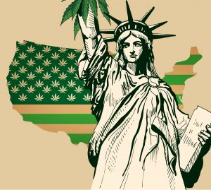 ny legal