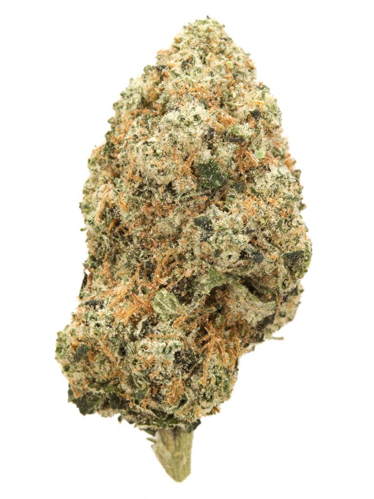 platinum kush strain