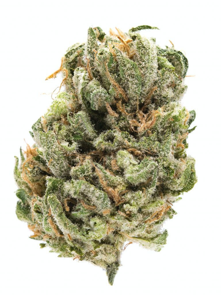 purple haze strain