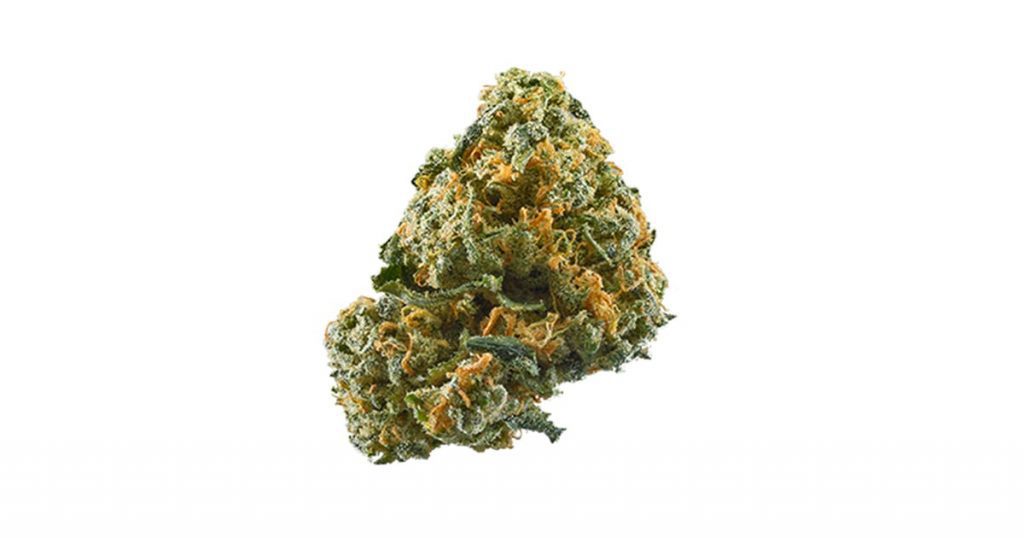 cheese strain