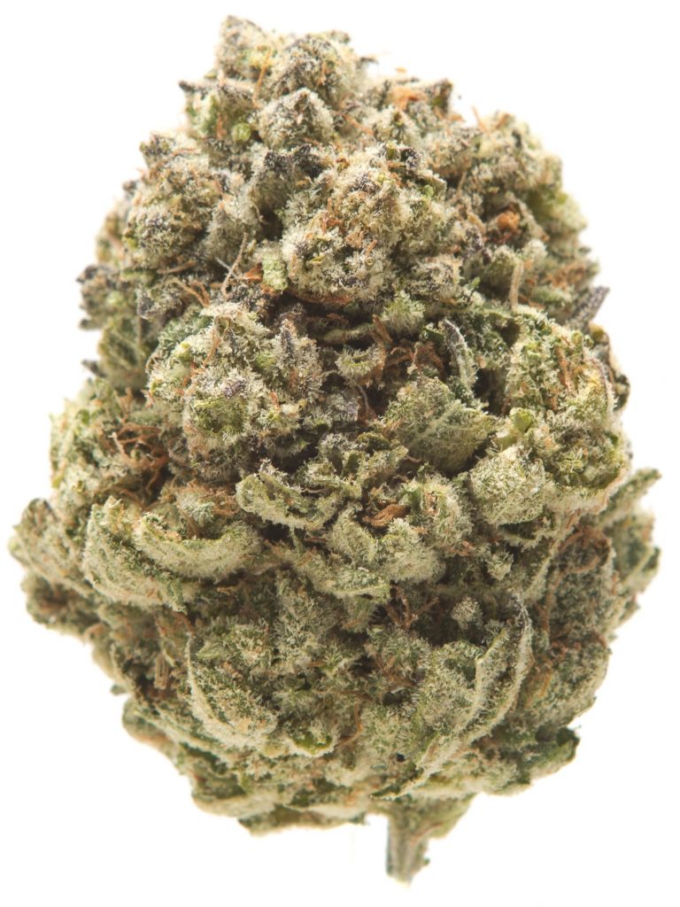 God's Gift Strain