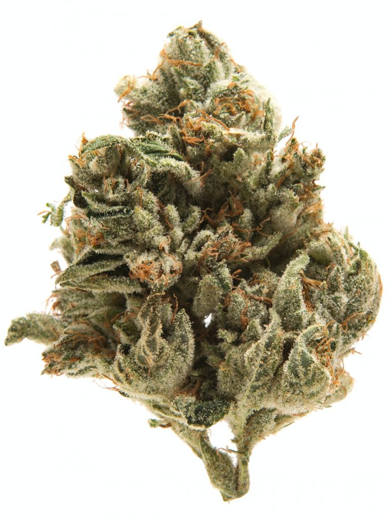 la confidential strain