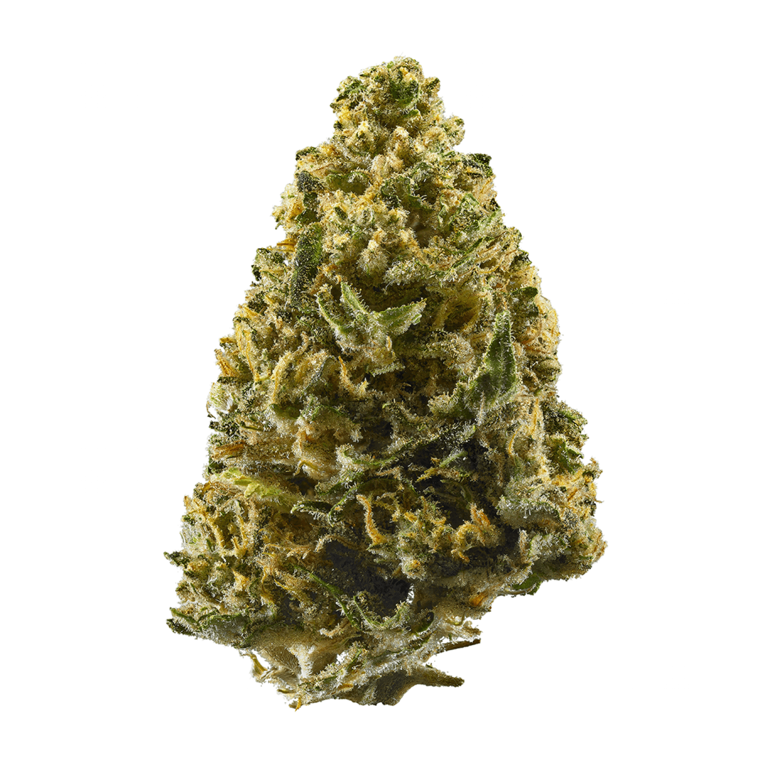 Northern Lights Strain A Legendary High Flavor Fix