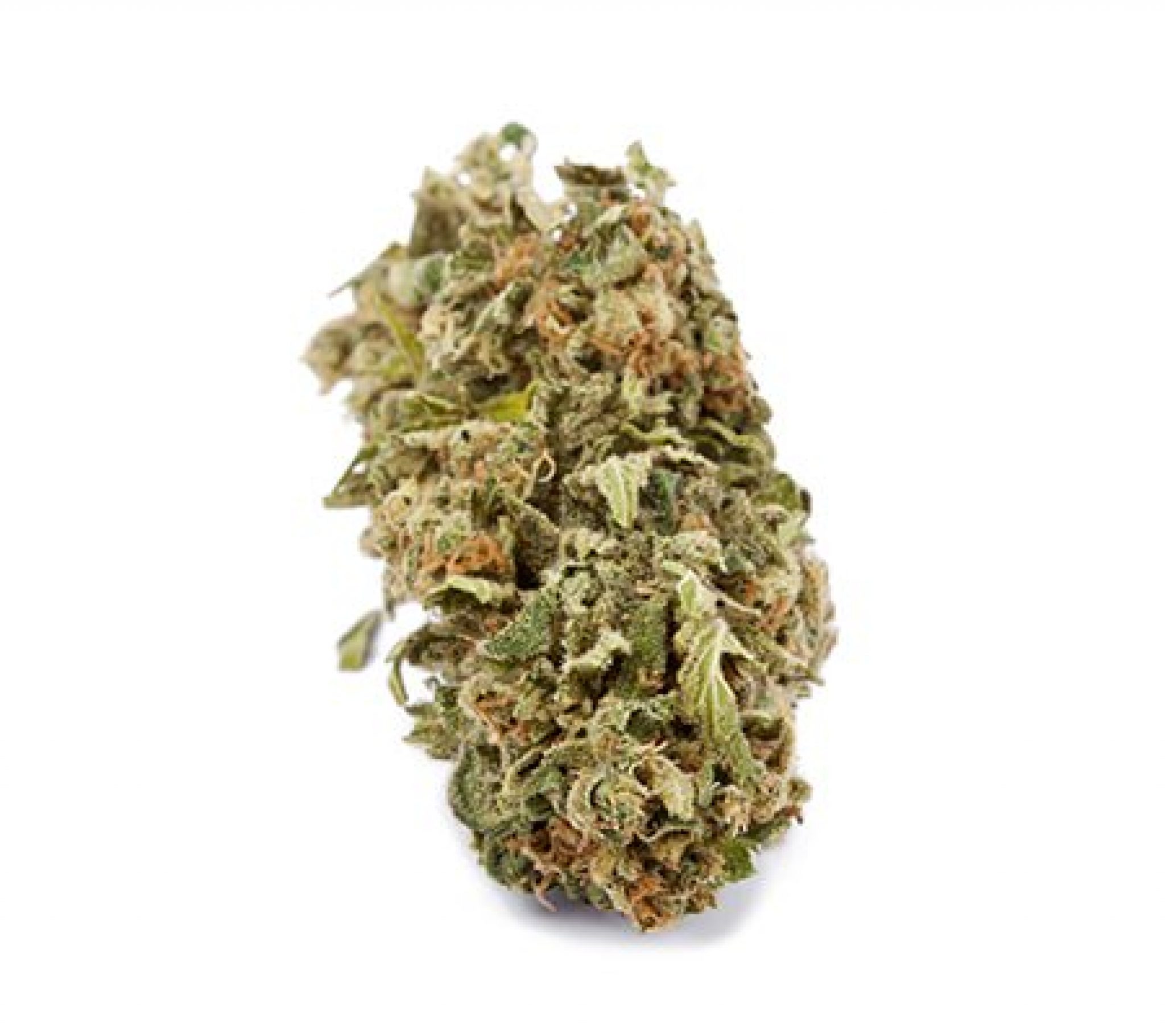 Pineapple Express Strain Tropical and Talkative Flavor Fix