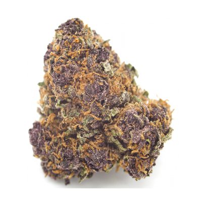 Purple Kush Strain | A Must Try | Flavor Fix