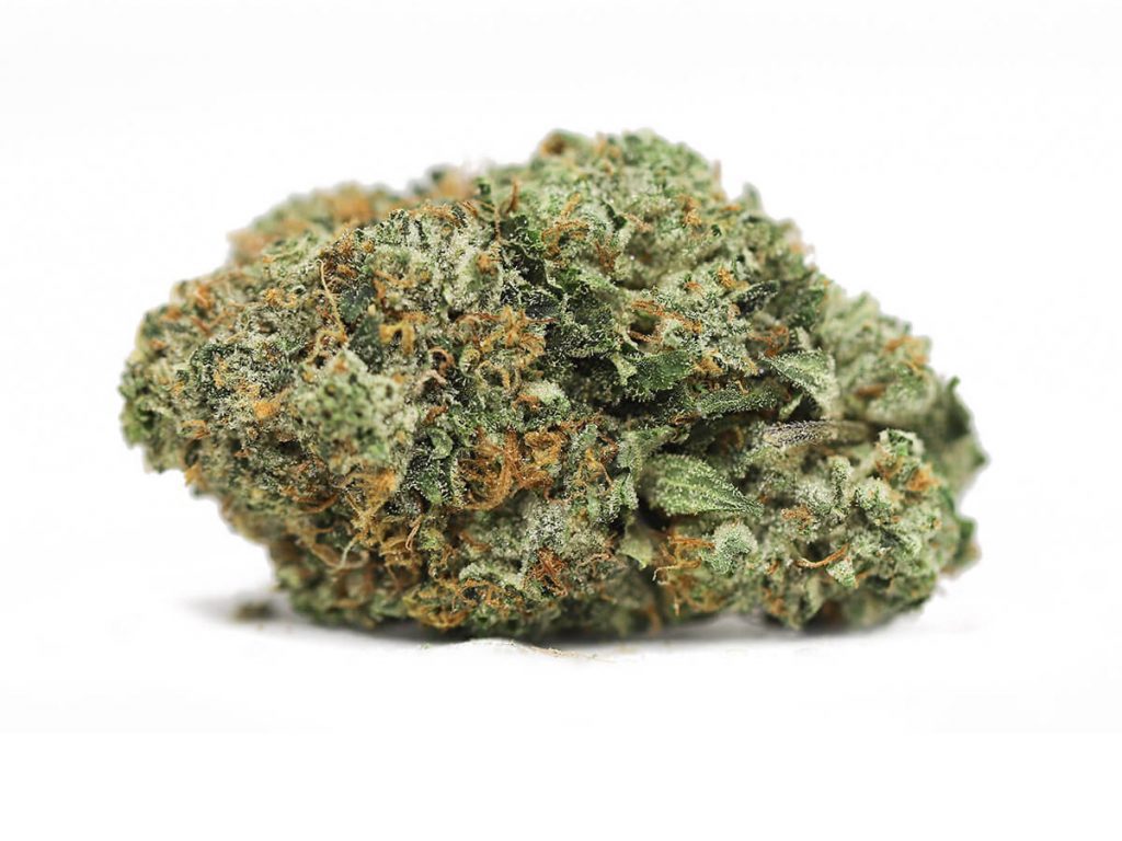 Georgia Pie Strain