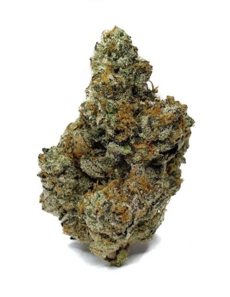 Gelato Cake Strain Have A Bite Flavor Fix