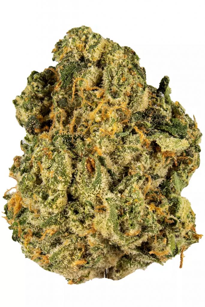 Sticky Buns Strain